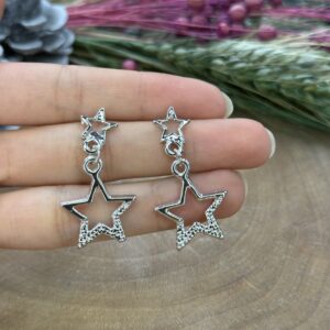 Silver çift yıldız küpe